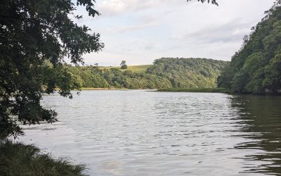 November What’s On