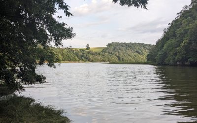 July What’s On