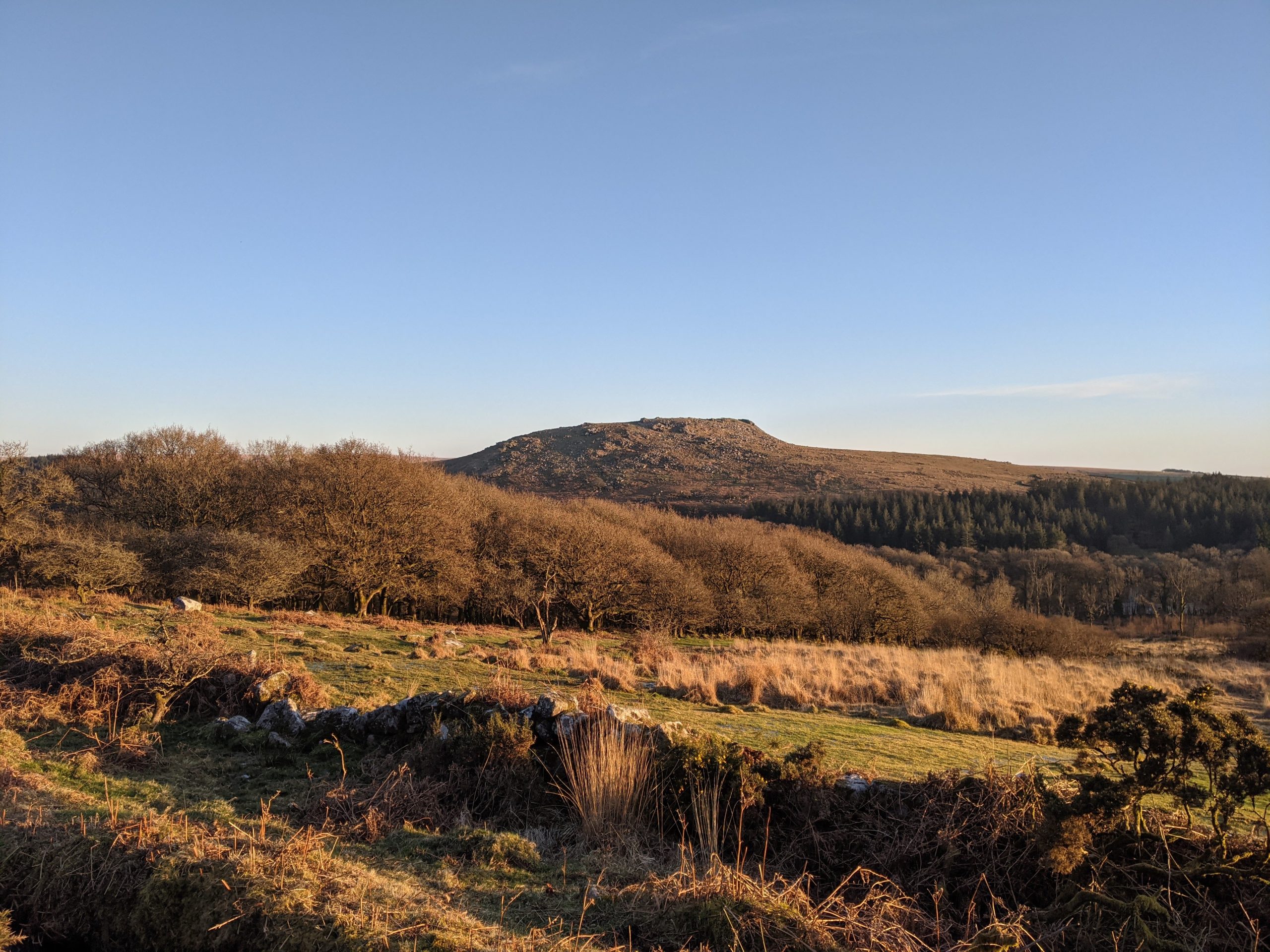 Moorland in Autumn